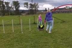 agility-03