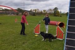 agility-05