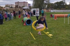 agility-07