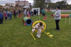 agility-08