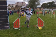 agility-10