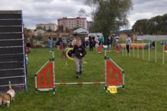 agility-17