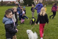 agility-28