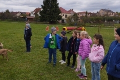 agility-31