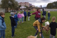agility-32