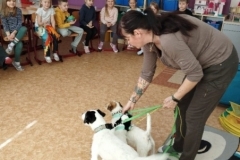 canis-01