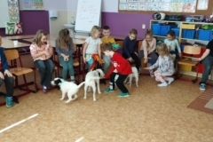 canis-02
