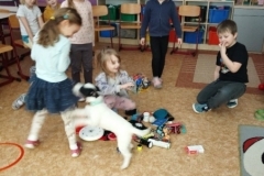 canis-04