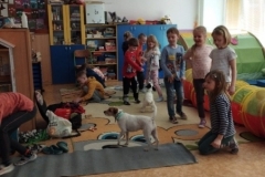 canis-10