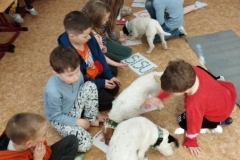 canis-16