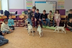 canis-18