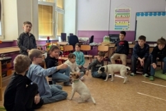 canis-20