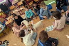 canis-24