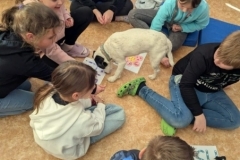 canis-25
