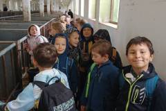 topolna-20